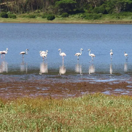 Obidos Lagoon Refuge 빌라 포즈도아렐로