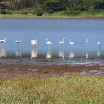 óbidos Lagoon Refuge Villa Foz do Arelho