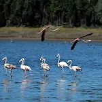 óbidos Lagoon Refuge