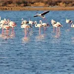 Villa óbidos Lagoon Refuge
