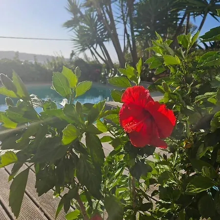 Villa BeGuest Lagoon Refuge *