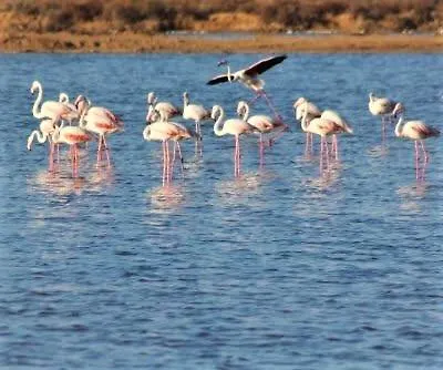 ヴィラ Obidos Lagoon Refuge