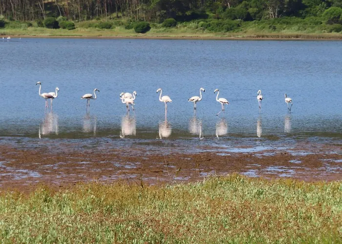 Obidos Lagoon Refuge Villa Foz do Arelho