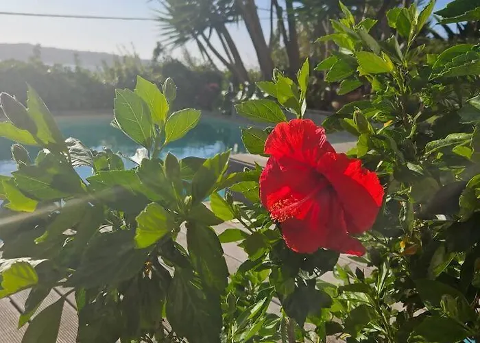 Villa Obidos Lagoon Refuge *